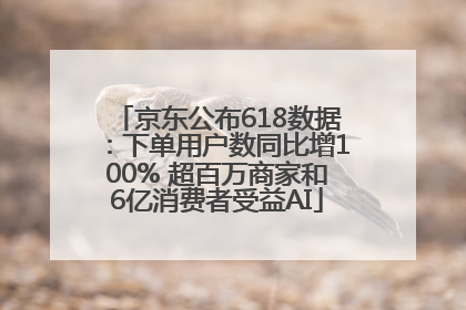 京东公布618数据：下单用户数同比增100% 超百万商家和6亿消费者受益AI