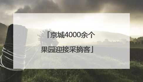 京城4000余个果园迎接采摘客