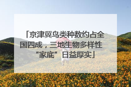 京津冀鸟类种数约占全国四成，三地生物多样性“家底”日益厚实