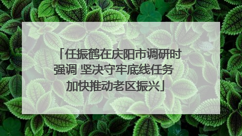 任振鹤在庆阳市调研时强调 坚决守牢底线任务 加快推动老区振兴