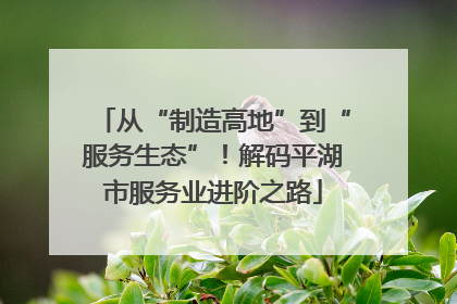 从“制造高地”到“服务生态”！解码平湖市服务业进阶之路