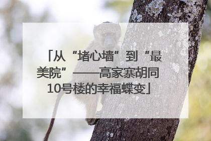 从“堵心墙”到“最美院”——高家寨胡同10号楼的幸福蝶变