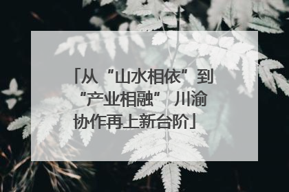 从“山水相依”到“产业相融” 川渝协作再上新台阶