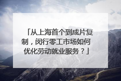 从上海首个到成片复制，闵行零工市场如何优化劳动就业服务？