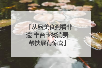从品美食到看非遗 丰台玉树消费帮扶展有惊喜