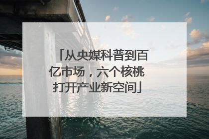 从央媒科普到百亿市场，六个核桃打开产业新空间