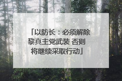以防长：必须解除黎真主党武装 否则将继续采取行动