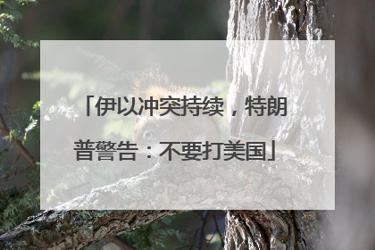 伊以冲突持续，特朗普警告：不要打美国