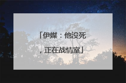 伊媒：他没死，正在战情室