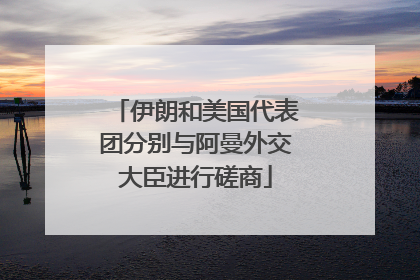 伊朗和美国代表团分别与阿曼外交大臣进行磋商
