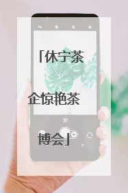 休宁茶企惊艳茶博会