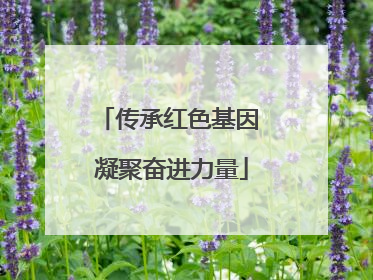 传承红色基因 凝聚奋进力量