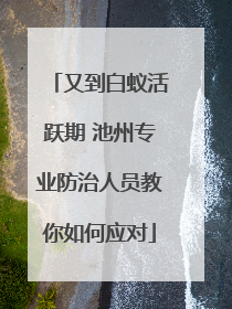 又到白蚁活跃期 池州专业防治人员教你如何应对