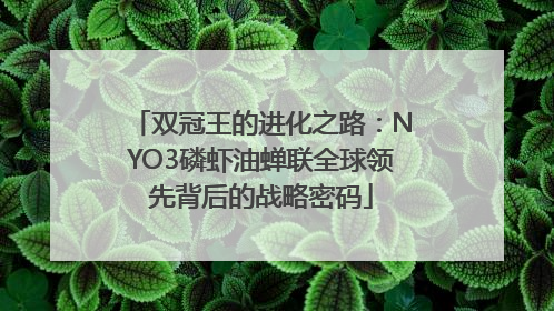 双冠王的进化之路：NYO3磷虾油蝉联全球领先背后的战略密码