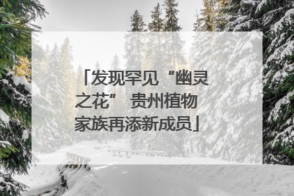 发现罕见“幽灵之花” 贵州植物家族再添新成员