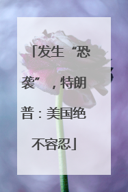 发生“恐袭”，特朗普：美国绝不容忍
