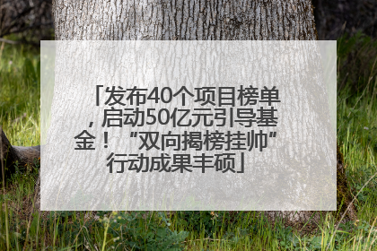 发布40个项目榜单，启动50亿元引导基金！“双向揭榜挂帅”行动成果丰硕