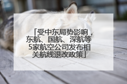 受中东局势影响，东航、国航、深航等5家航空公司发布相关航线退改政策