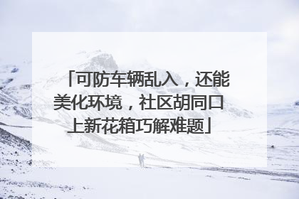 可防车辆乱入，还能美化环境，社区胡同口上新花箱巧解难题