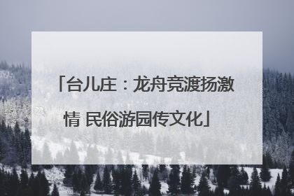 台儿庄：龙舟竞渡扬激情 民俗游园传文化