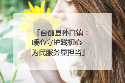 台前县孙口镇：暖心守护践初心 为民服务显担当