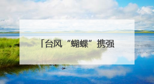 台风“蝴蝶”携强风雨来袭 海南电网全力保民生用电
