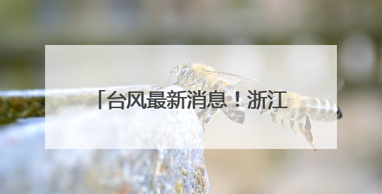 台风最新消息！浙江42℃！今起“突袭”，接下来难熬了