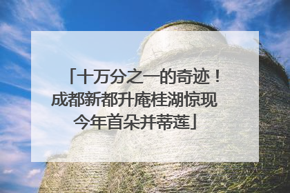 十万分之一的奇迹！成都新都升庵桂湖惊现今年首朵并蒂莲