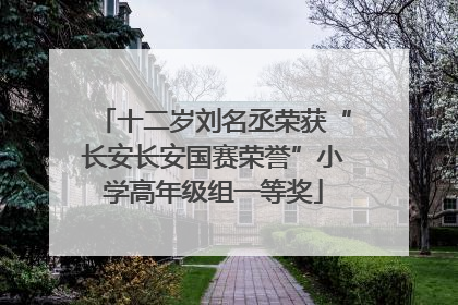 十二岁刘名丞荣获“长安长安国赛荣誉”小学高年级组一等奖