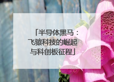半导体黑马：飞骧科技的崛起与科创板征程