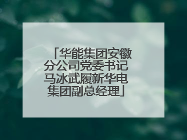 华能集团安徽分公司党委书记马冰武履新华电集团副总经理