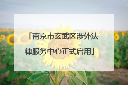 南京市玄武区涉外法律服务中心正式启用