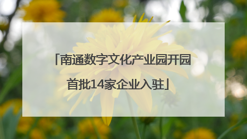 南通数字文化产业园开园 首批14家企业入驻