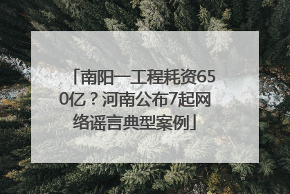 南阳一工程耗资650亿？河南公布7起网络谣言典型案例
