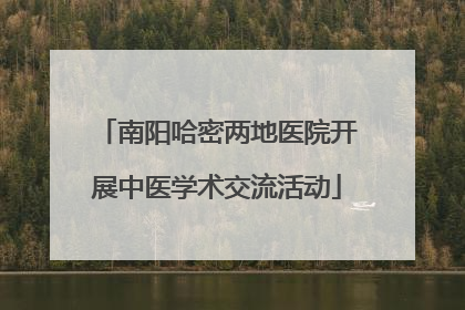 南阳哈密两地医院开展中医学术交流活动