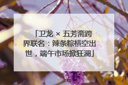 卫龙 × 五芳斋跨界联名：辣条粽横空出世，端午市场掀狂澜