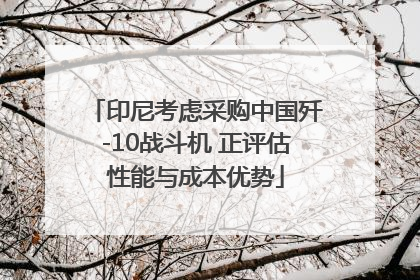 印尼考虑采购中国歼-10战斗机 正评估性能与成本优势