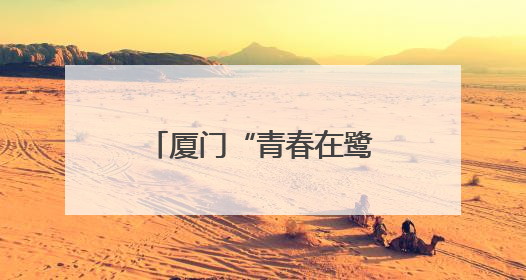 厦门“青春在鹭上”研习营开营，16台青解锁创业文化“双精彩”