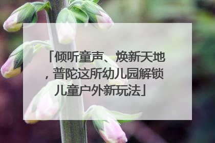 倾听童声、焕新天地，普陀这所幼儿园解锁儿童户外新玩法