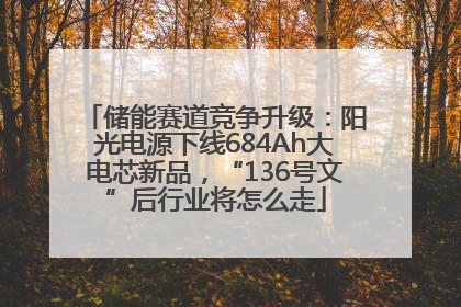 储能赛道竞争升级：阳光电源下线684Ah大电芯新品，“136号文”后行业将怎么走