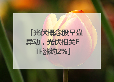 光伏概念股早盘异动，光伏相关ETF涨约2%