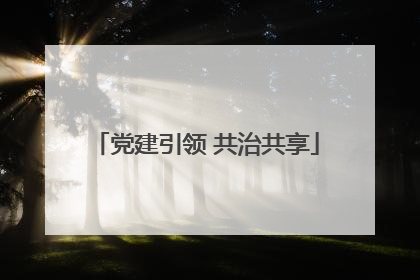 党建引领 共治共享