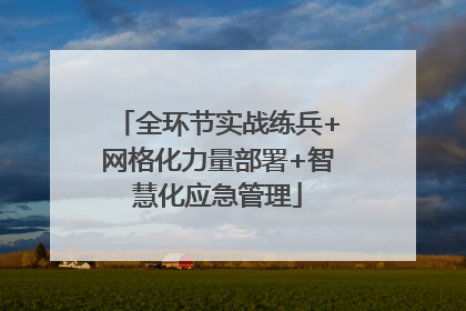 全环节实战练兵+网格化力量部署+智慧化应急管理