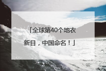 全球第40个地衣新目，中国命名！