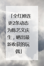 全红婵连更2条动态为陈艺文庆生，晒出最新收获的玩偶