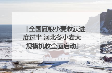 全国夏粮小麦收获进度过半 河北冬小麦大规模机收全面启动