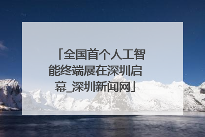 全国首个人工智能终端展在深圳启幕_深圳新闻网