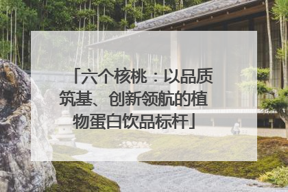 六个核桃：以品质筑基、创新领航的植物蛋白饮品标杆