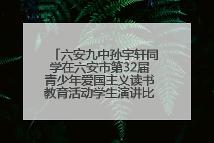 六安九中孙宇轩同学在六安市第32届青少年爱国主义读书教育活动学生演讲比赛中荣获一等奖