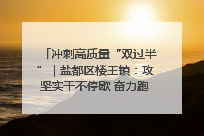 冲刺高质量“双过半”｜盐都区楼王镇：攻坚实干不停歇 奋力跑赢“上半场”